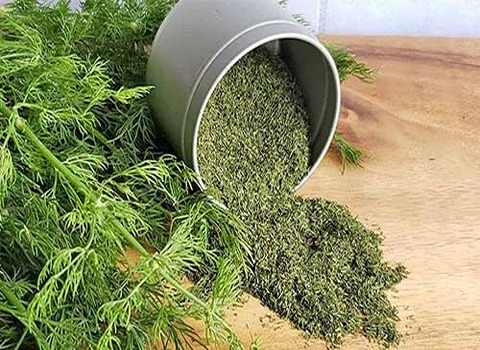 تصویر 2 از فروش فوق العاده شوید خشک صادراتی با کیفیت عالی